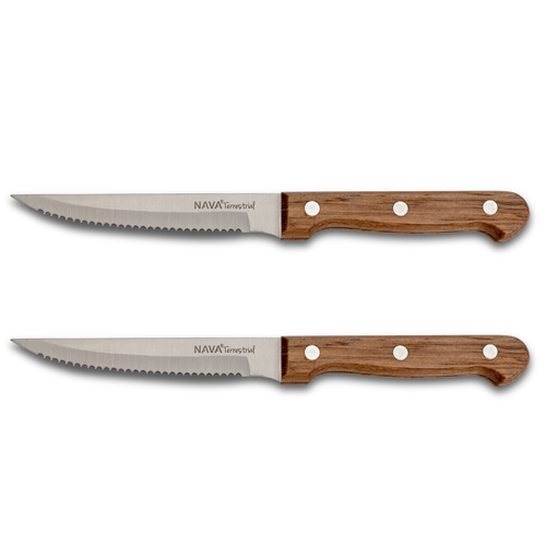 stainless-steel-steak-knife-terrestrial-with-wooden-handle-set-2pcs-21cm