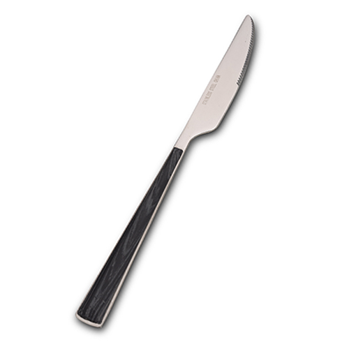 stainless-steel-dinner-knife-arya